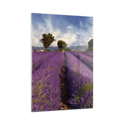 Glass picture - Lavender Fields - 50x70 cm
