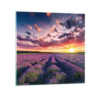 Glass picture - Lavender World - 60x60 cm