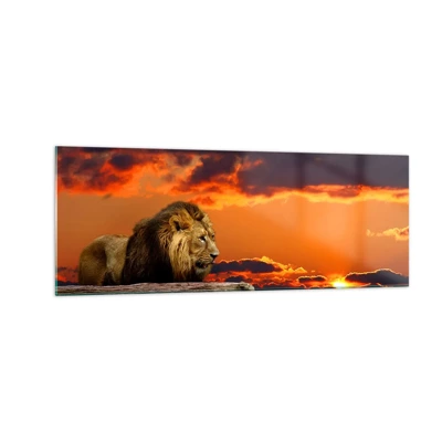 Glass picture - The King of Nature - 140x50 cm