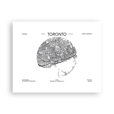 Poster - Anatomy of Toronto - 50x40 cm