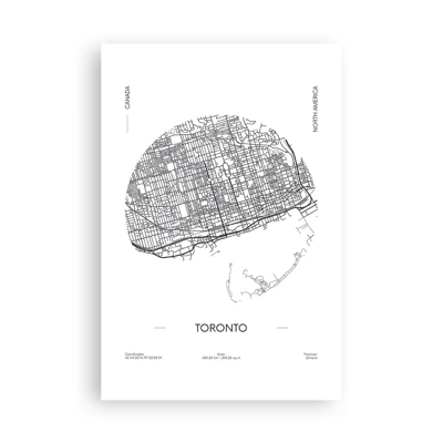 Poster - Anatomy of Toronto - 61x91 cm