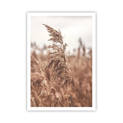 Poster - Autumn Has Arrived in the Fields - 70x100 cm