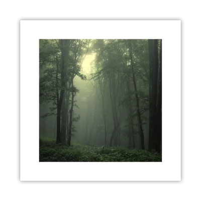 Poster - Before It Wakes Up - 30x30 cm