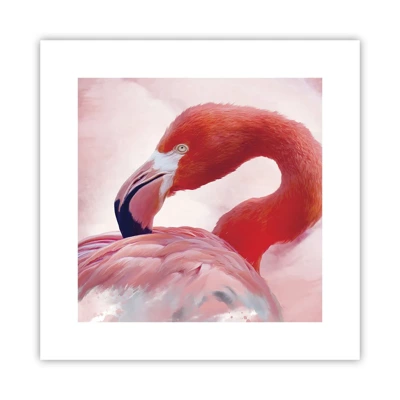 Poster - Bird Look - 30x30 cm