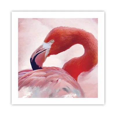 Poster - Bird Look - 50x50 cm