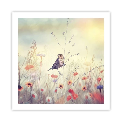 Poster - Bird Portrait with a Meadow in the Background - 60x60 cm