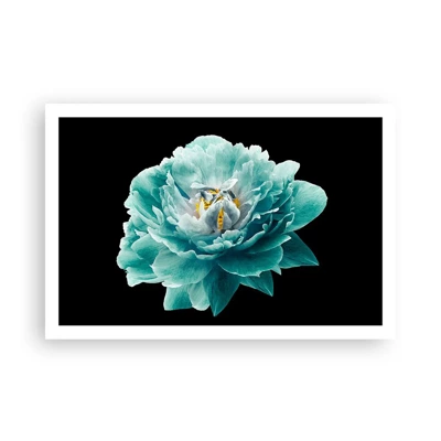 Poster - Blue and Gold Petals - 91x61 cm