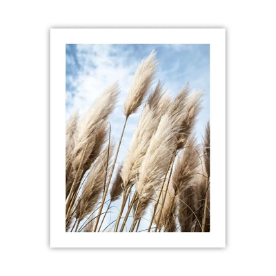 Poster - Caress of Sun and Wind - 40x50 cm