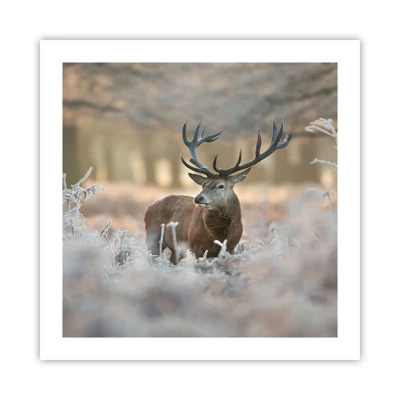 Poster - Chilly Morning - 50x50 cm