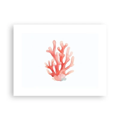 Poster - Coral Colour Colars - 40x30 cm