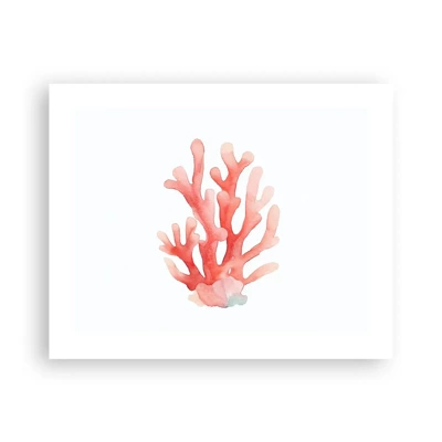 Poster - Coral Colour Colars - 50x40 cm