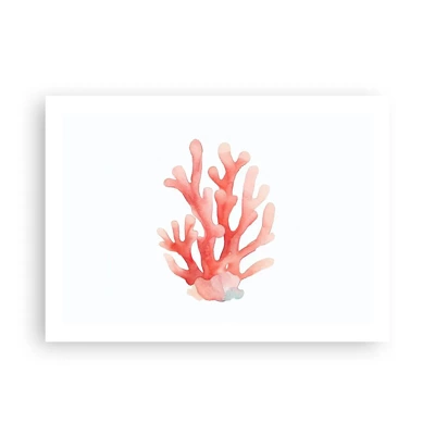 Poster - Coral Colour Colars - 70x50 cm
