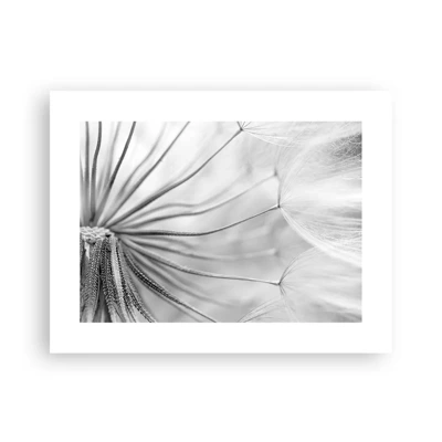 Poster - Dandelion Kites - 40x30 cm