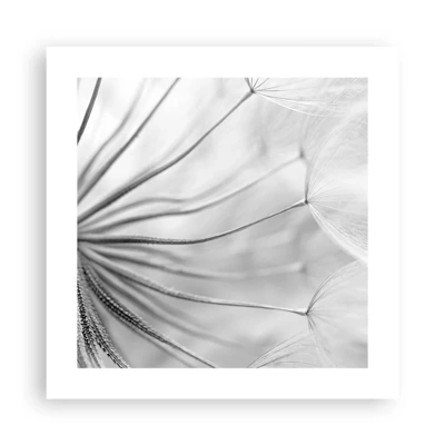 Poster - Dandelion Kites - 40x40 cm