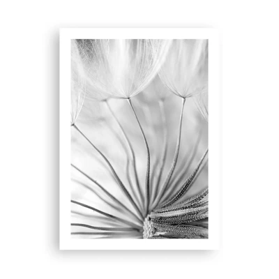 Poster - Dandelion Kites - 50x70 cm