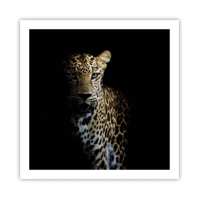 Poster - Dark Beauty - 60x60 cm