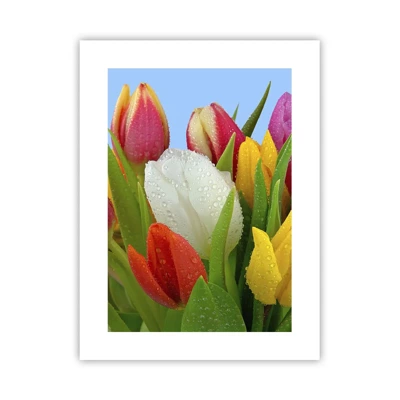 Poster - Floral Rainbow in Dew Drops - 30x40 cm