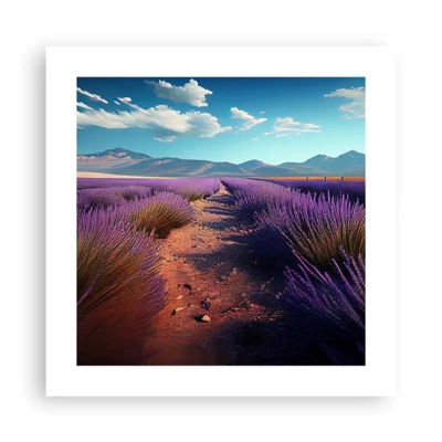 Poster - Fragrant Fields - 40x40 cm