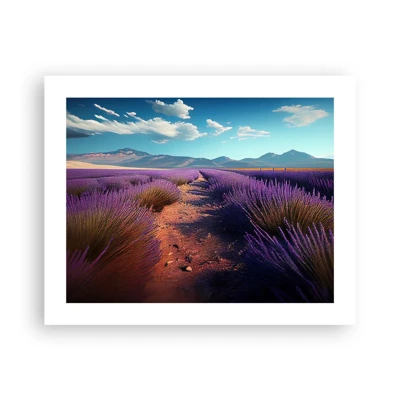 Poster - Fragrant Fields - 50x40 cm