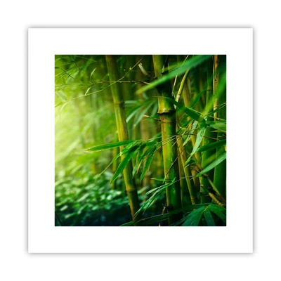 Poster - Getting to Know the Green - 30x30 cm