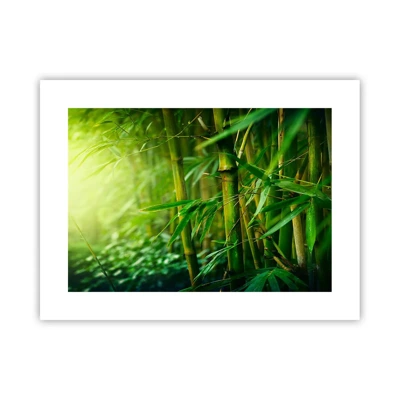 Poster - Getting to Know the Green - 40x30 cm