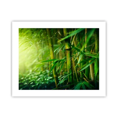 Poster - Getting to Know the Green - 50x40 cm