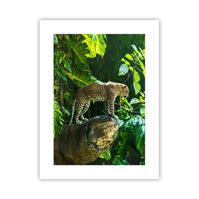 Poster - Going Hunting? - 30x40 cm