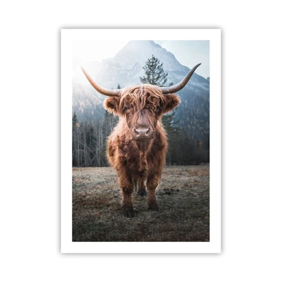 Poster - Greeting from Mountain Meadow - 50x70 cm