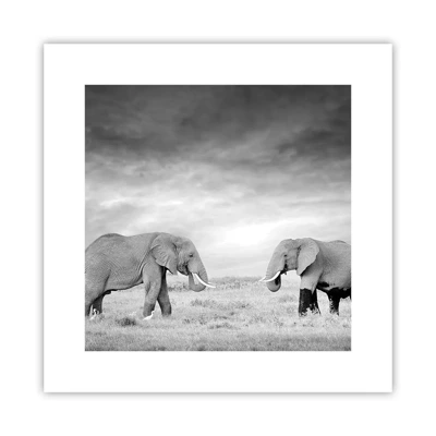 Poster - Grey Is Beautiful - 30x30 cm