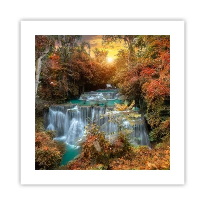 Poster - Hidden Forest Treasure - 40x40 cm