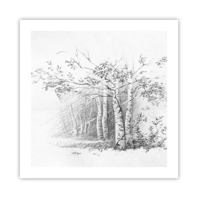 Poster - Holiday of Birch Forest - 50x50 cm