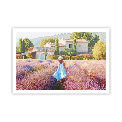 Poster - Lavender Girl - 91x61 cm