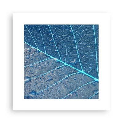 Poster - Life in the Blue - 30x30 cm