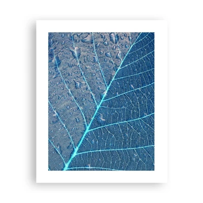 Poster - Life in the Blue - 40x50 cm