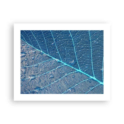 Poster - Life in the Blue - 50x40 cm