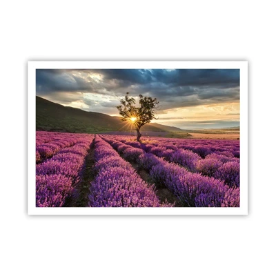 Poster - Lilac Coloured Aroma - 100x70 cm