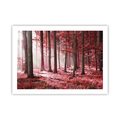 Poster - Red Equally Beautiful - 70x50 cm