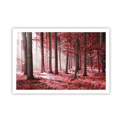 Poster - Red Equally Beautiful - 91x61 cm