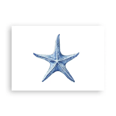 Poster - Sea Star - 100x70 cm