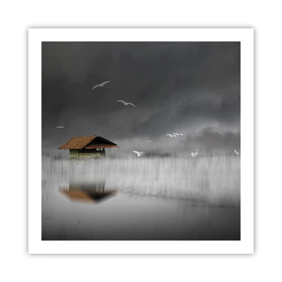 Poster - Shelter from the Rain - 60x60 cm