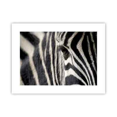 Poster - Striped Portrait - 40x30 cm