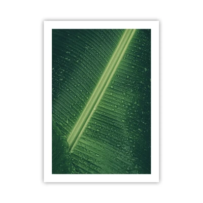 Poster - Structure of Green - 50x70 cm