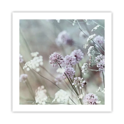 Poster - Sweet Filigrees of Herbs - 50x50 cm