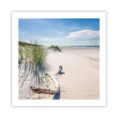 Poster - The Most Beautiful? Baltic One - 50x50 cm