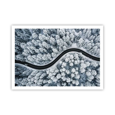 Poster - Through Wintery Forest - 100x70 cm