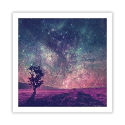 Poster - Under Magical Sky - 60x60 cm