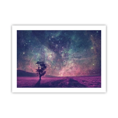 Poster - Under Magical Sky - 70x50 cm