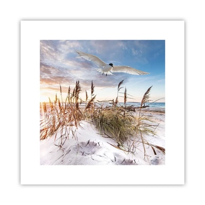 Poster - Wind from the Sea - 30x30 cm