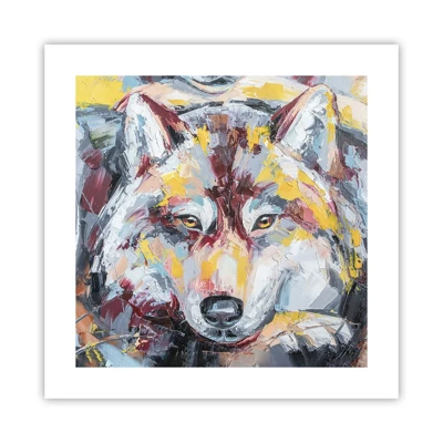 Poster - Wolf Eyes - 40x40 cm