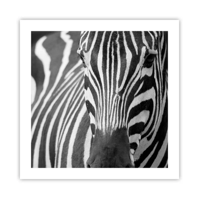 Poster - World Is Black and White - 50x50 cm